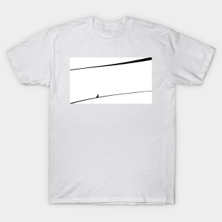 Hall Of Minimalism 1 T-Shirt